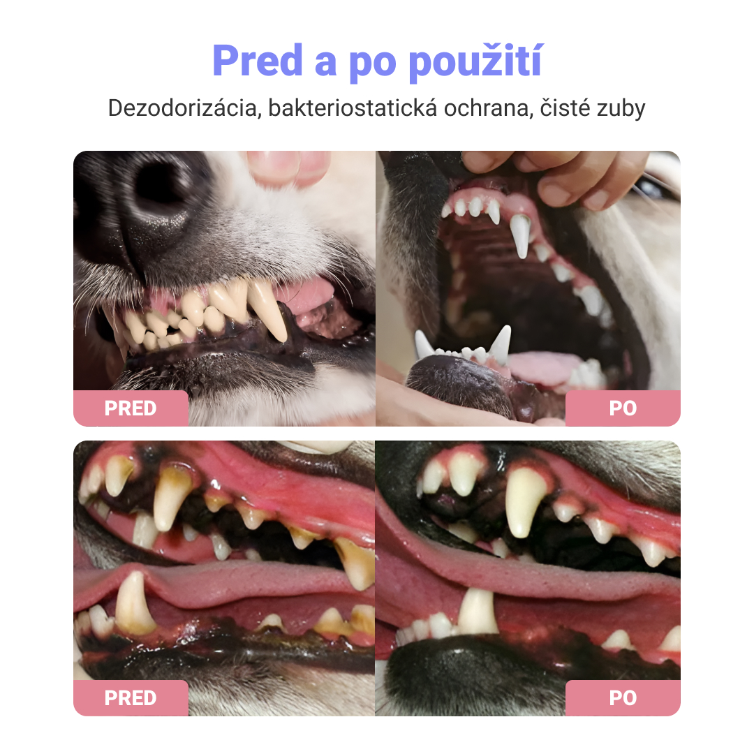 ÚSTNY SPREJ PRE DOMÁCE ZVIERATÁ 1+1 GRÁTIS – Obrázok 2