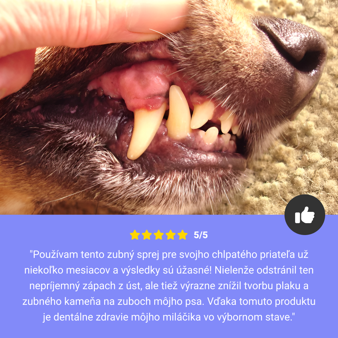 ÚSTNY SPREJ PRE DOMÁCE ZVIERATÁ 1+1 GRÁTIS – Obrázok 5