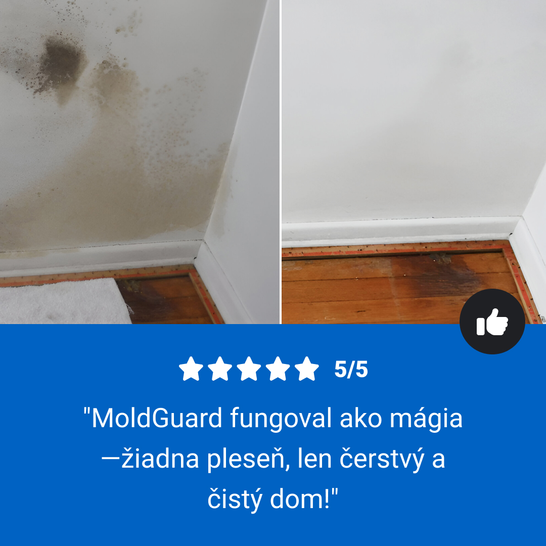Moldguard – Sprej na odstránenie plesní a trvalé odstránenie plesní v domácnosti – Obrázok 8